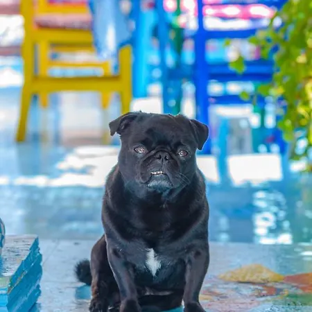 Tas Butik Otel فندق *